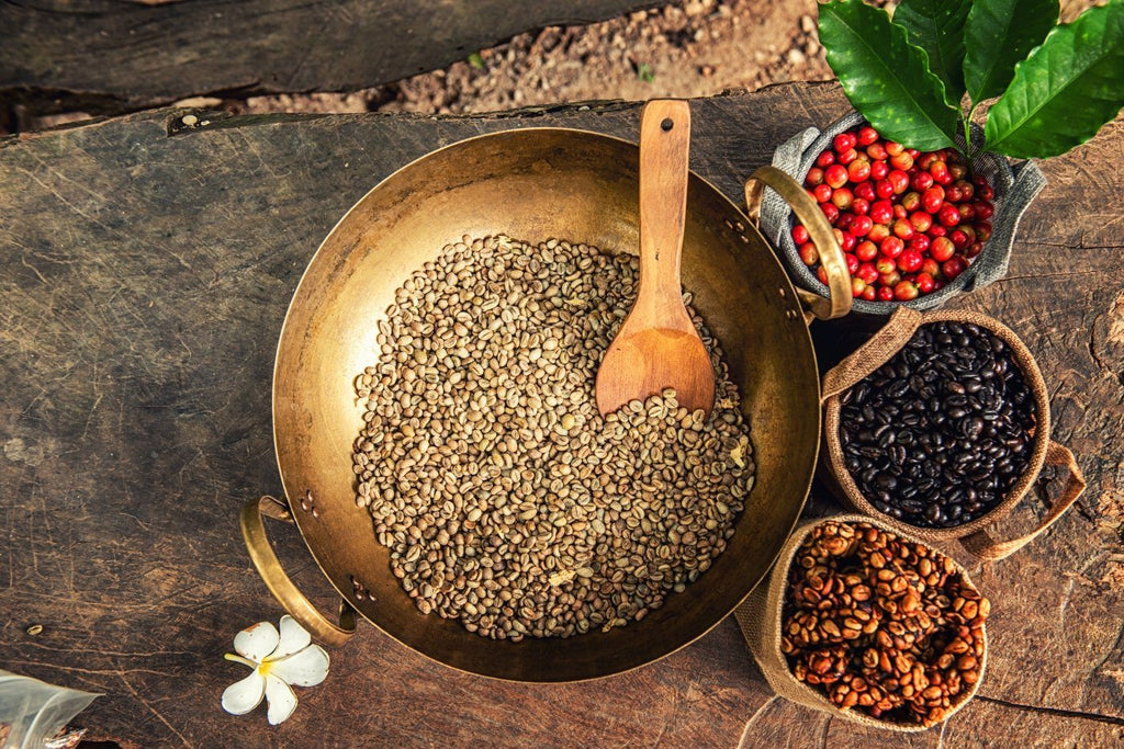 What Types of Coffee Beans Are There?