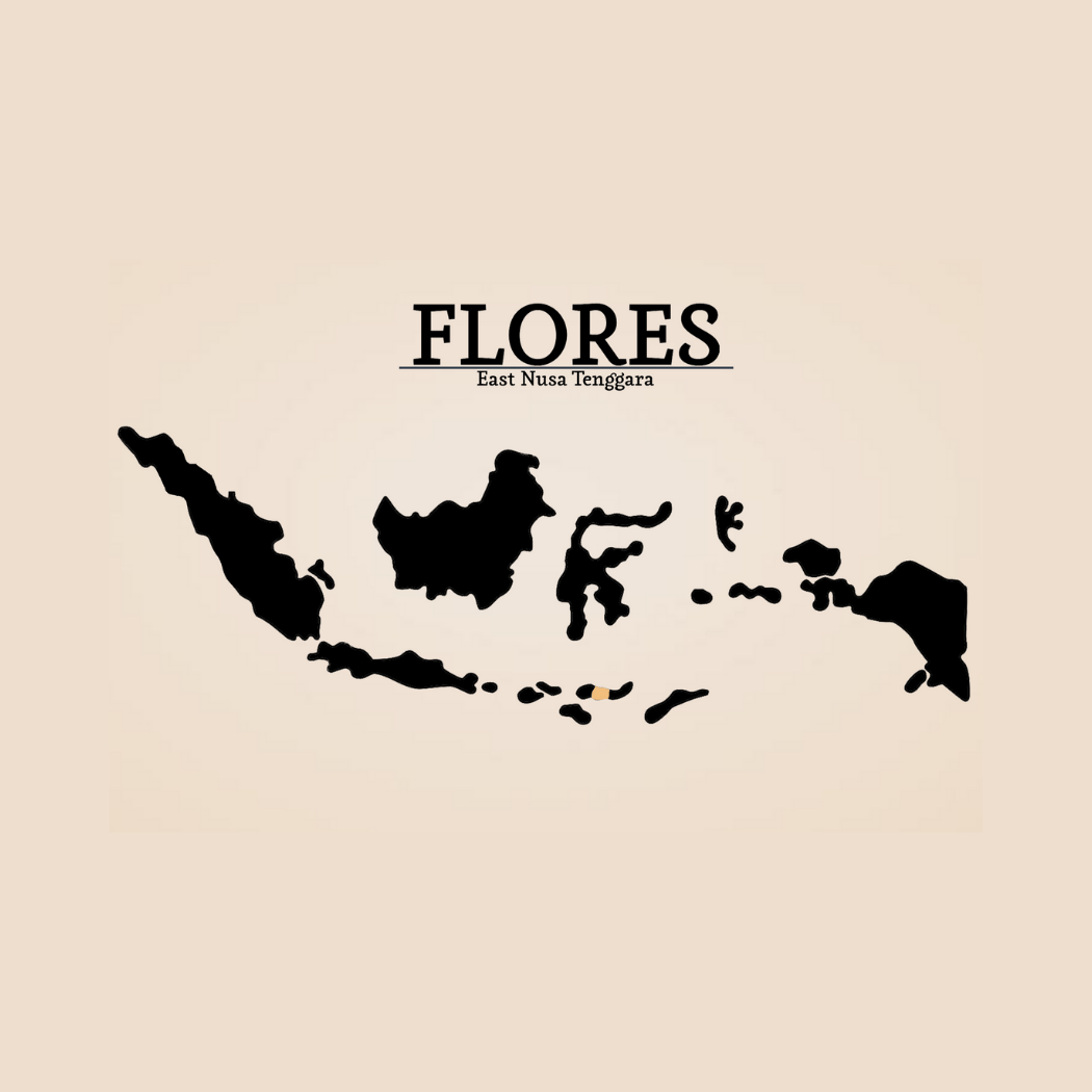 FLORES BAJAWA Roasted Beans Nusa Coffee