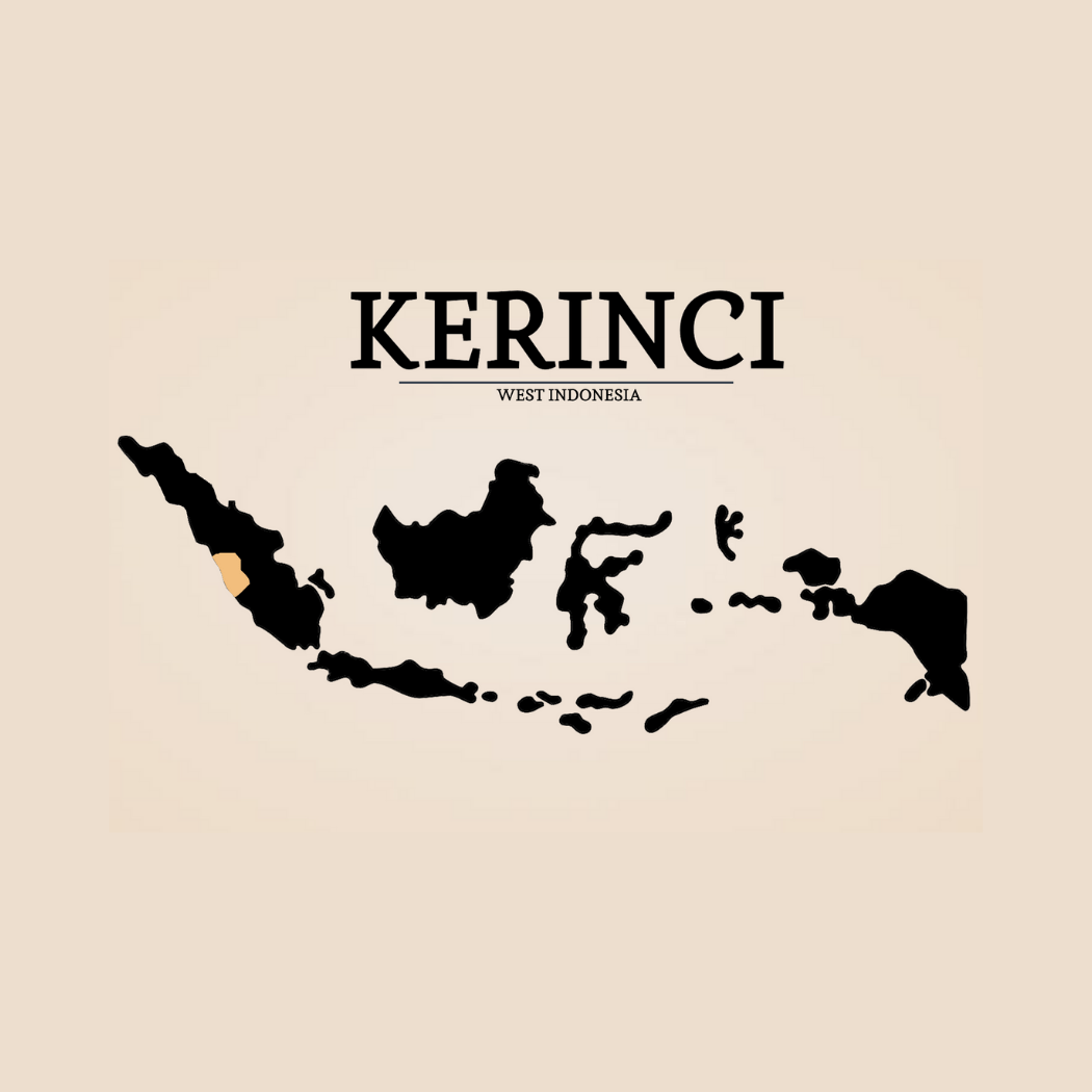 KERINCI HONEY Roasted Beans Nusa Coffee