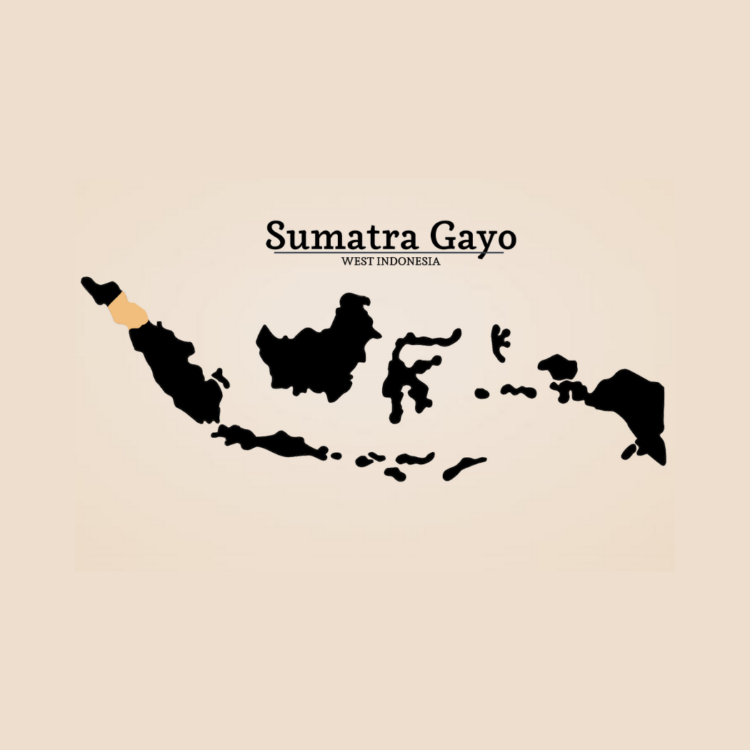 SUMATRA GAYO Roasted Beans Nusa Coffee