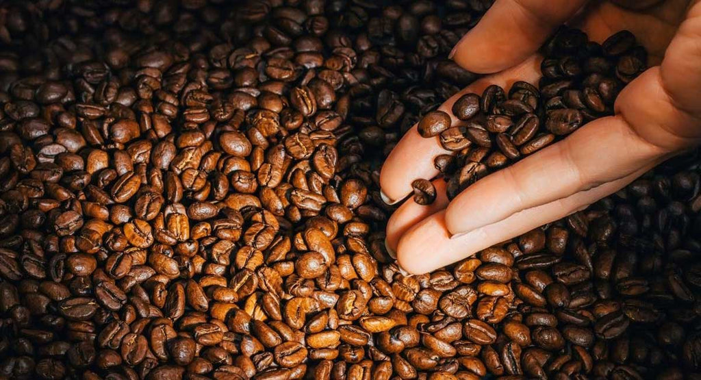 The Best Indonesian Coffee Beans